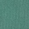 4122303 Eucalyptus