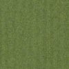 4122306 Fern