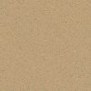 Sahara