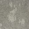 34305 Spring Seed