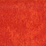 Cinnamon 218